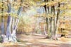 Thumbnail. Painting: Woodland, watercolour